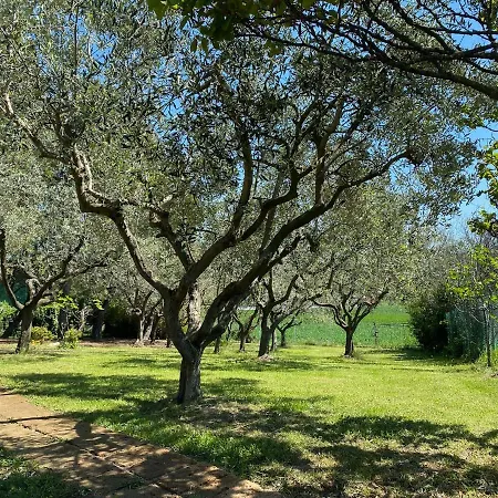 Nuovo Chalet Sole Luna, Riccione E Misano Santa Maria di Scacciano