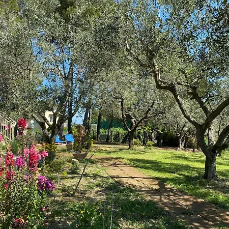 Nuovo Chalet Sole Luna, Riccione E Misano *